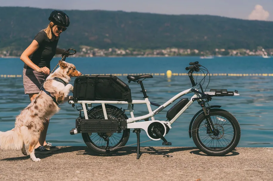 transport de chien sur un vélo électrique