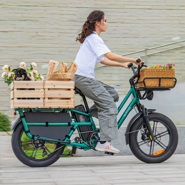 vélo électrique longtail grande capacité