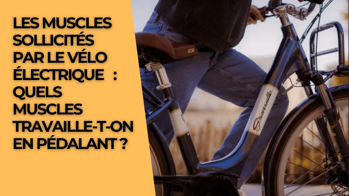 Les muscles sollicités par le vélo électrique : quels muscles travaille-t-on en pédalant ? - E-Volty