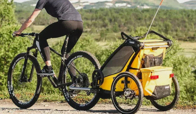 vélo remorque