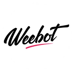 logo e-volty