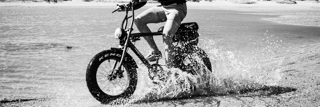 vitesse fat bike