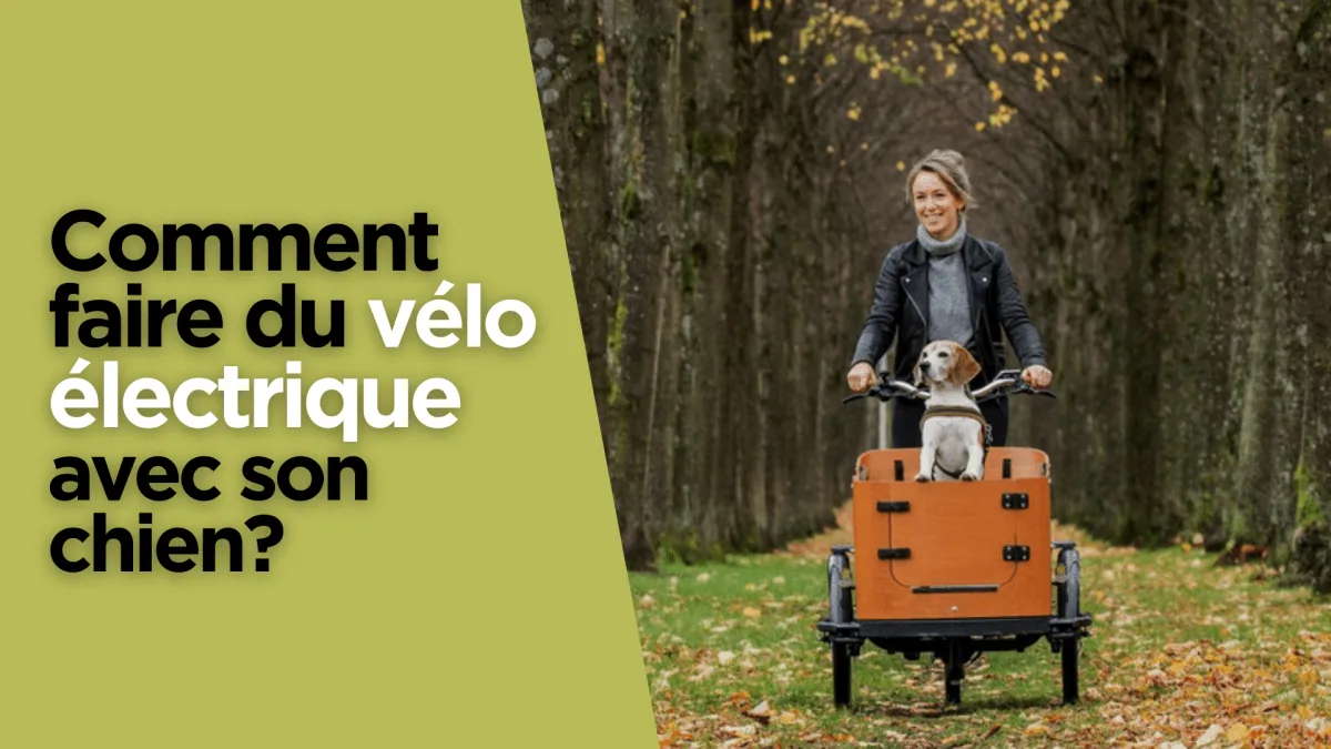 Comment faire du vélo électrique avec son chien?