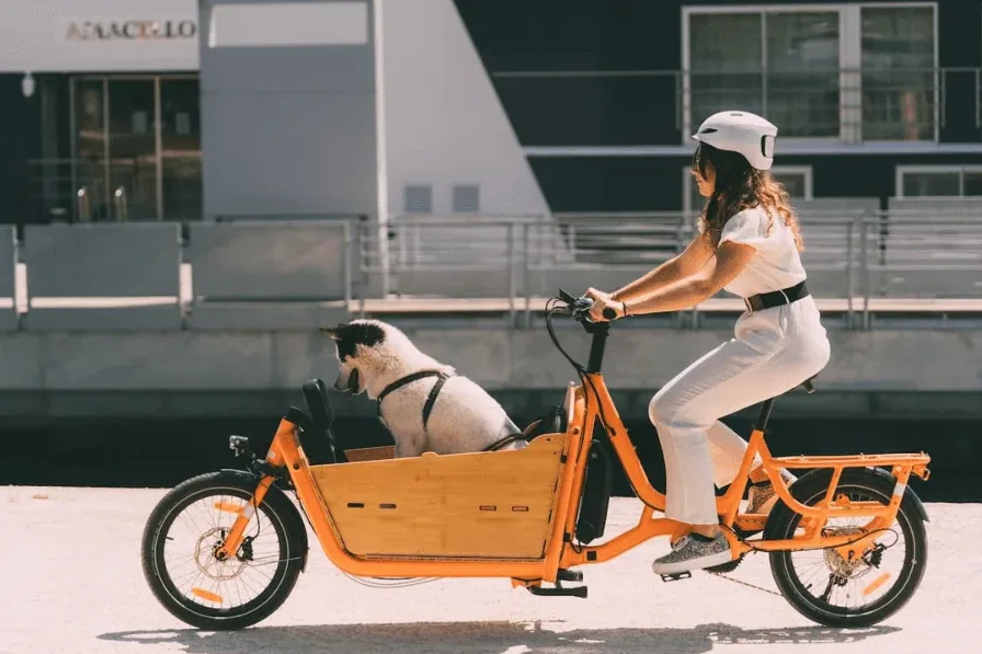 transport chien sur vélo électrique