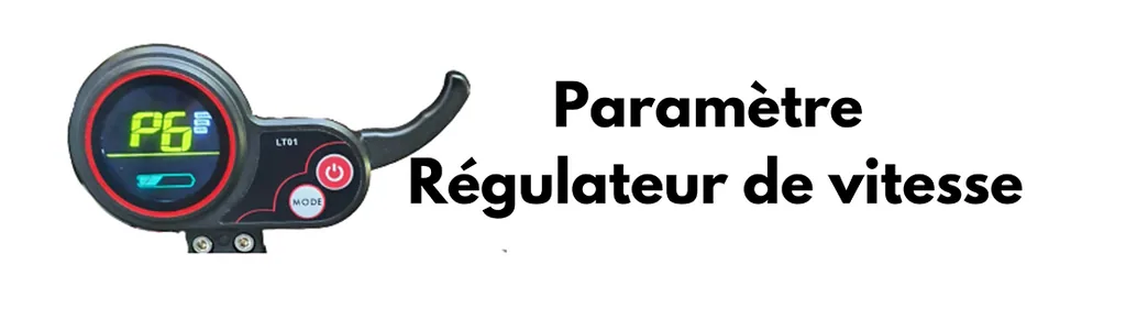 P6_Display_LT01_Trottinette _électrique_ Kaabo_ Skywalker_Mantis