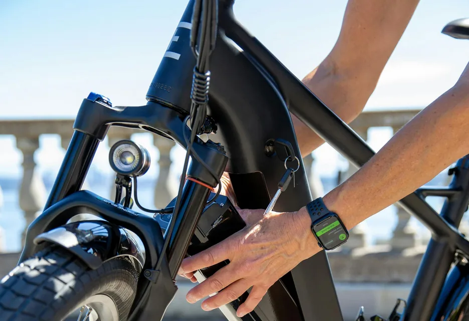 entretien vélo électrique cargo