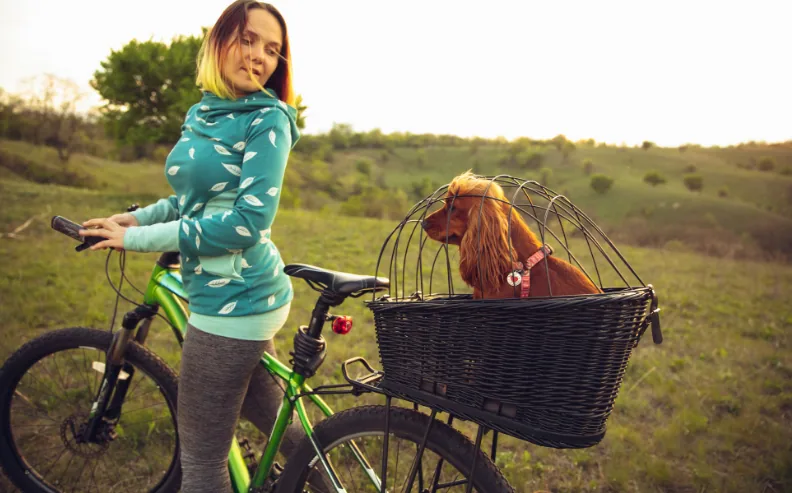 velo cargo avec panier