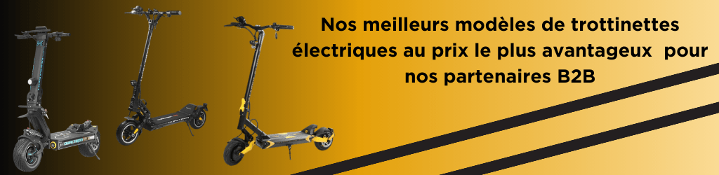  fournisseur trottinette électrique – modèle tout-terrain puissant et robuste