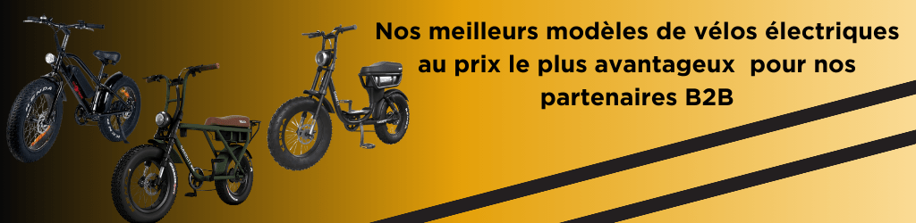 revendeur vélo électrique – solutions B2B chez E-Volty