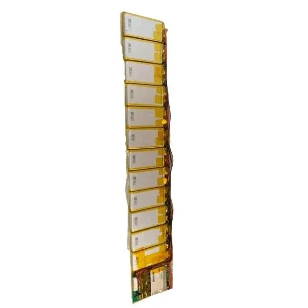 Batterie 193Wh pour Skateboard Electrique Exway X1 Pro