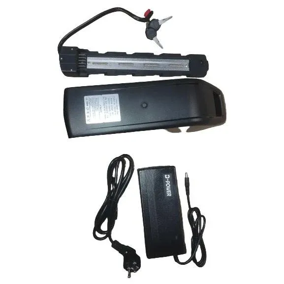 Batterie 48V 20Ah WeeBike avec Chargeur