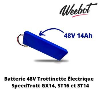 Batterie Trottinette Électrique 48V ST14, ST16 et GX14 - SpeedTrott (Batterie Uniquement)