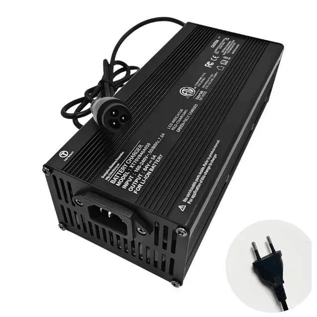 Chargeur Rapide 5Ah LP16-3 pour Batterie 72V Teverun