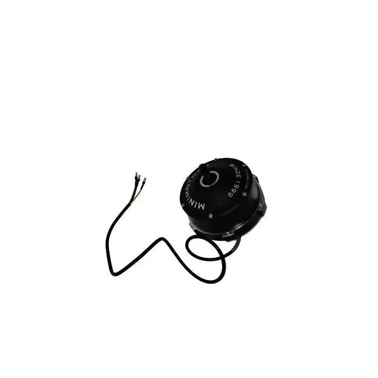 Moteur Brushless pour Trottinette Électrique Dualtron Eagle Et Eagle Pro