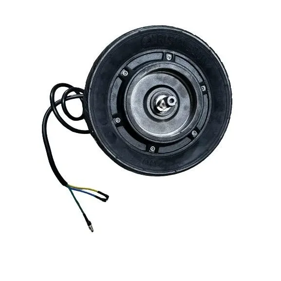 Moteur Brushless pour Trottinette Électrique Dualtron Raptor & Raptor 2