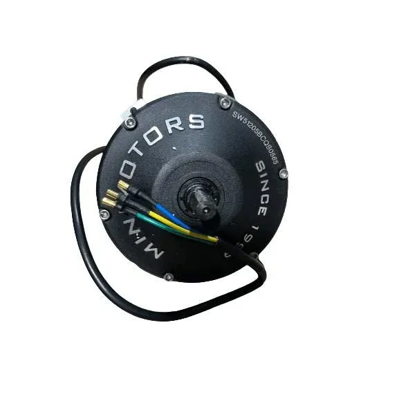 Moteur Brushless pour Trottinette Électrique Dualtron 3 et Speedway 5