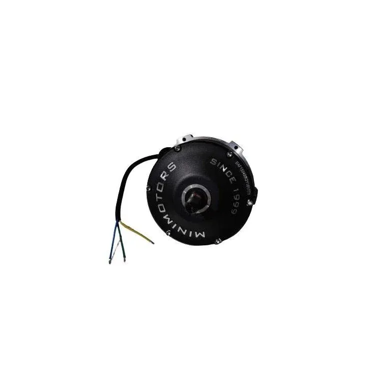 Moteur Brushless pour Trottinette Électrique Dualtron Achilleus