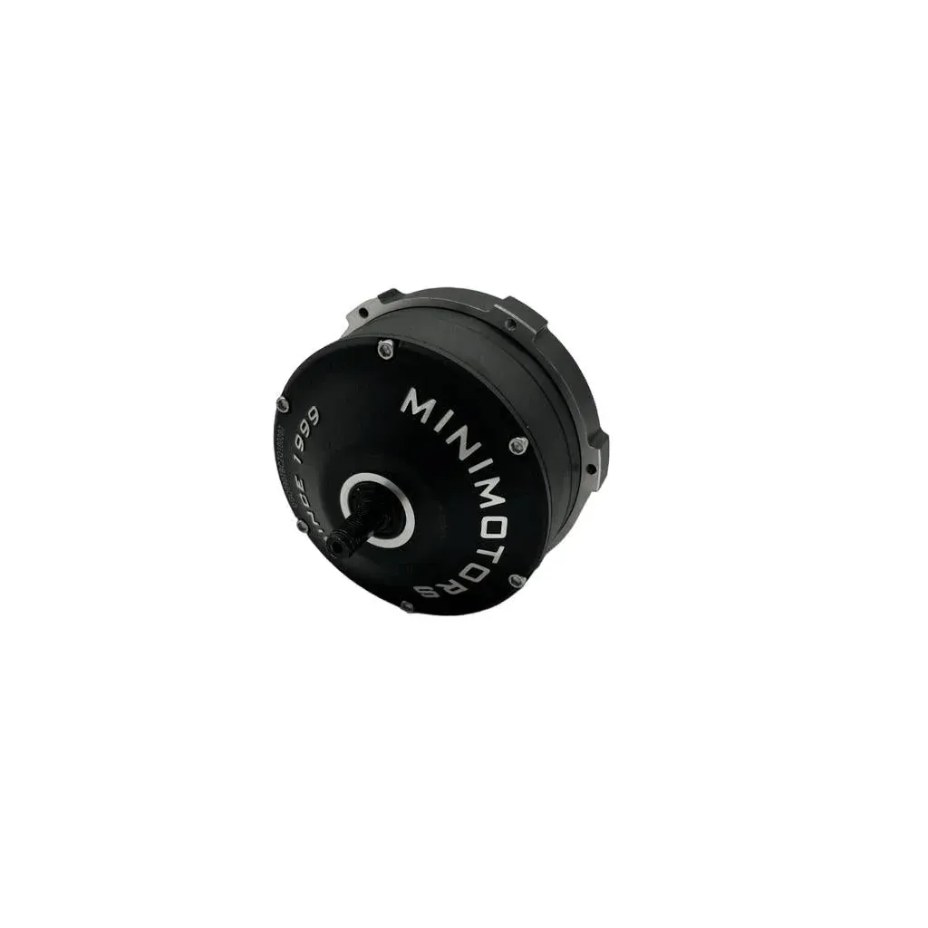 Moteur pour Trottinette Electrique Dualtron Togo