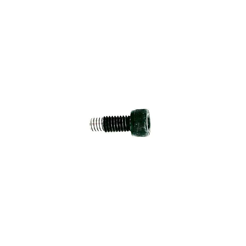 Vis Direction pour Trottinette Électrique Minimotors Dualtron Mini (Double Moteur)